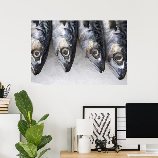 Makreel, verse vangst van de dag poster (Thuiskantoor)