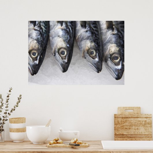 Makreel, verse vangst van de dag poster (Keuken)
