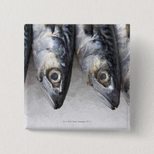 Makreel, verse vangst van de dag vierkante button 5,1 cm