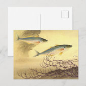 Makreel Vis Zwemmen in de Oceaan Briefkaart (Voorkant / Achterkant)