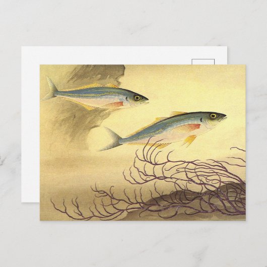 Makreel Vis Zwemmen in de Oceaan Briefkaart (Voorkant / Achterkant)