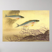 Makreel Vis Zwemmen in de Oceaan Poster (Voorkant)