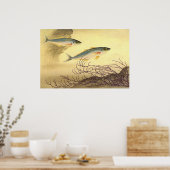 Makreel Vis Zwemmen in de Oceaan Poster (Keuken)