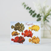 Makreelvis Briefkaart (Staand voorkant)