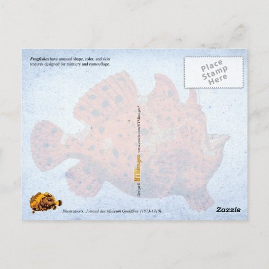 Makreelvis Briefkaart (Achterkant)