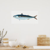 Makreelvis kunst poster (Keuken)