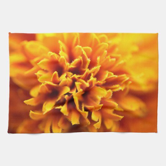 Makro der Studentenblume Theedoek (Horizontaal)