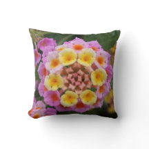 Makro: Roze en gele Lantana Bloem