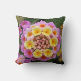 Makro: Roze en gele Lantana Bloem Kussen