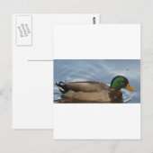 Mal. III Briefkaart (Voorkant / Achterkant)