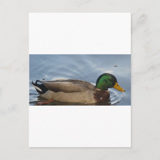 Mal. III Briefkaart (Voorkant)