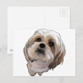 Mal-Shi van Malshi Briefkaart (Voorkant / Achterkant)