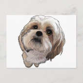 Mal-Shi van Malshi Briefkaart (Voorkant)