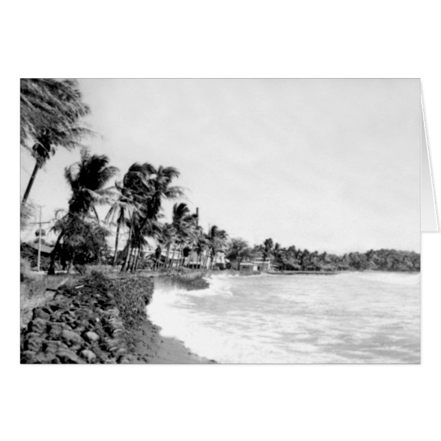 Mala Beach Lahaina Maui Hawaii (Voorkant Horizontaal)