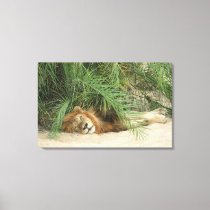 Mala Mala Reserve, provincie Mpumalanga, Zuid Canvas Afdruk