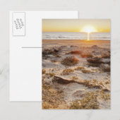 Malabehoorlijk Beach Sand Dunes Briefkaart (Voorkant / Achterkant)