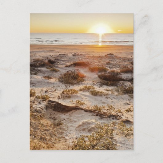 Malabehoorlijk Beach Sand Dunes Briefkaart (Voorkant)