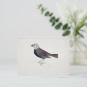 Malacca Crossbeak Briefkaart (Staand voorkant)