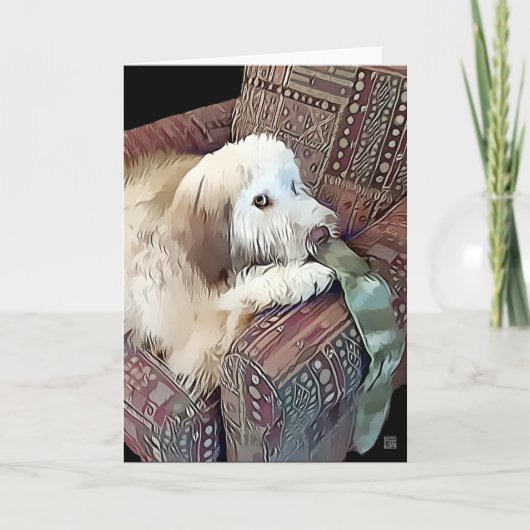 MALACHI heARTdog Whoodle Kaart (Voorkant)