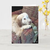 MALACHI heARTdog Whoodle Kaart (Gele Bloem)