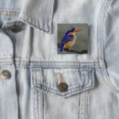 Malachiet IJsvogel, Alcedo cristata, Meer Vierkante Button 5,1 Cm (In situ)