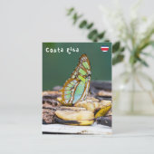 Malachiet vlinder - Costa Rica Briefkaart (Staand voorkant)