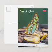 Malachiet vlinder - Costa Rica Briefkaart (Voorkant / Achterkant)