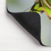 Malachietvlinder op blad muismat (Hoek)