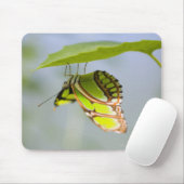 Malachietvlinder op blad muismat (Met muis)