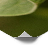 Malachietvlinder op een blad poster (Hoek)