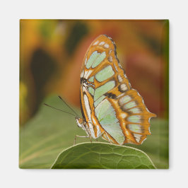 Malachite aan de rand van een blad magneet