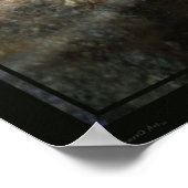 Malachite Butterflies 1 Print -24x20 - of kleiner (Hoek)