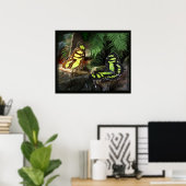 Malachite Butterflies 1 Print -24x20 - of kleiner (Thuiskantoor)