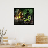 Malachite Butterflies 1 Print -24x20 - of kleiner (Keuken)
