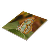 Malachite Butterfly op blad Tegeltje (Zijkant)