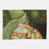 Malachite Butterfly Perched on a leaf Theedoek (Horizontaal)
