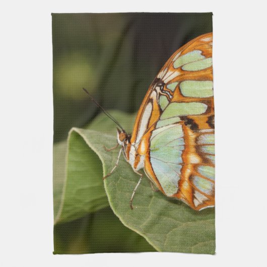 Malachite Butterfly Perched on a leaf Theedoek (Verticaal)