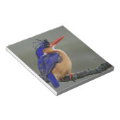 Malachite Kingfisher, Alcedo cristata, Lake Notitieblok (Schuin)