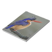 Malachite Kingfisher, Alcedo cristata, Lake Notitieblok (Linkerzijde)