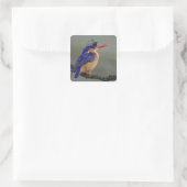 Malachite Kingfisher, Alcedo cristata, Lake Vierkante Sticker (Tas)