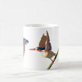 Malachite Kingfisher mok (Center)