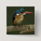 Malachite Kingfisher Vierkante Button 5,1 Cm (Voorkant)