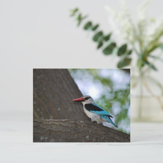 Malachite Kingfisher Zuid-Afrika Briefkaart (Staand voorkant)