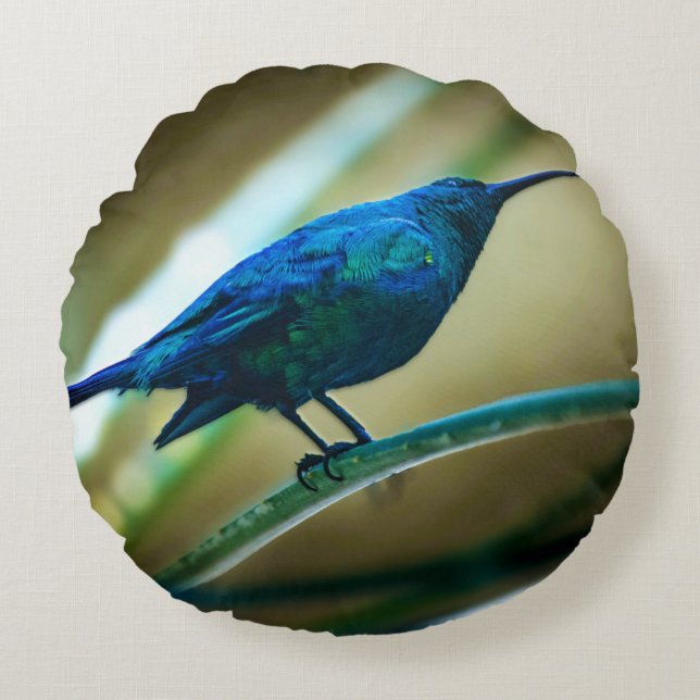 Malachite Sunbird Perched Closeup Rond Kussen (Voorkant)