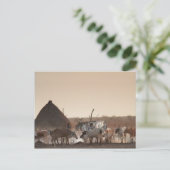 Malakal, dorp Dinka etnische groep Briefkaart (Staand voorkant)