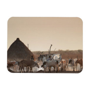Malakal, dorp van de Dinka etnische groep Magneet