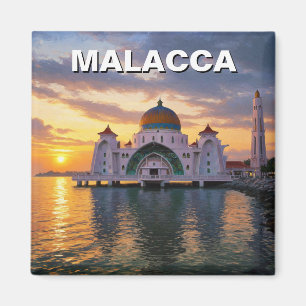 Malakka Straits Moskee Maleisië Magneet