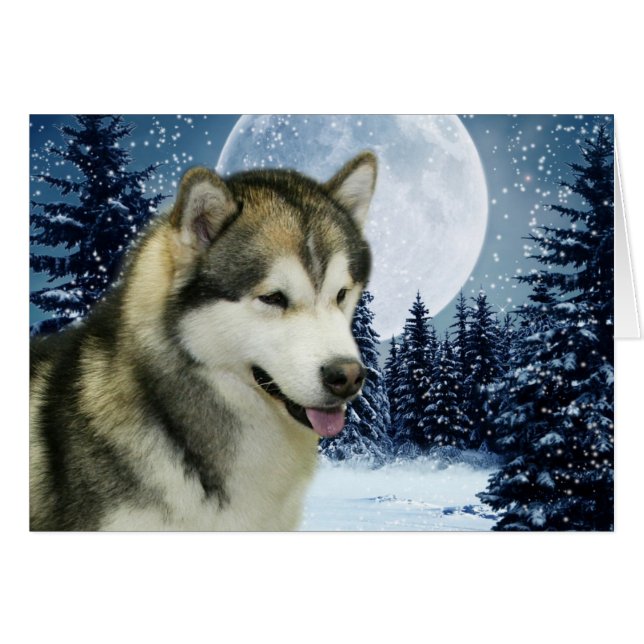 Malamute (Voorkant Horizontaal)