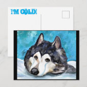 MALAMUTE DIE IN DE SNEEUW SPEELT BRIEFKAART (Voorkant / Achterkant)