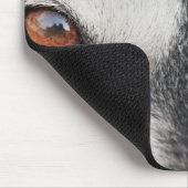 Malamute Dog Brown Eyes Muismat (Hoek)
